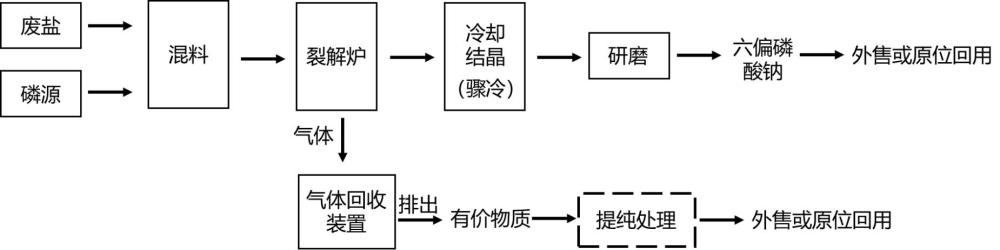 一種工業(yè)廢鹽有機物脫除并同步實現(xiàn)高值轉化方法
