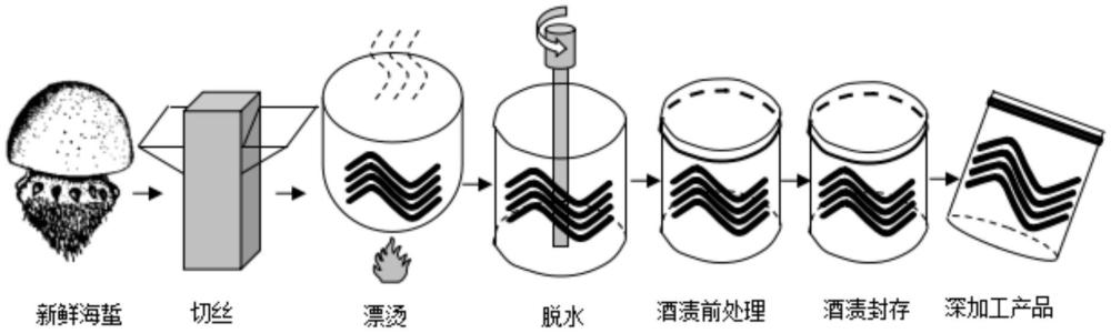 一種無礬酒漬海蜇加工工藝和方法