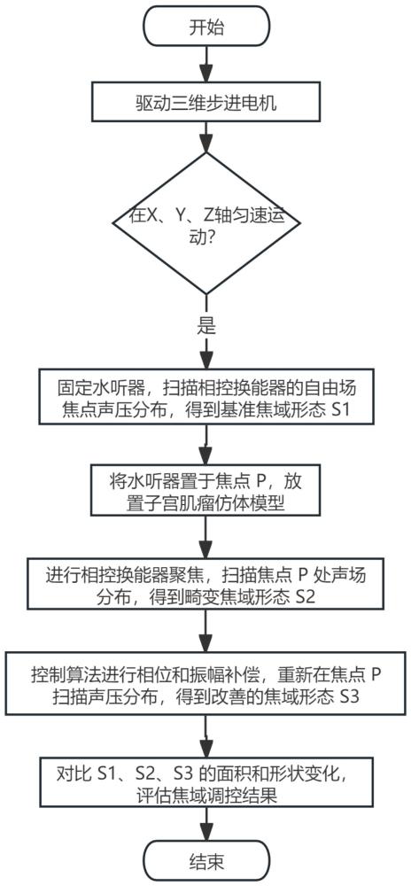 子宮肌瘤組織界面3D模型及制作方法和相控換能器焦域形態調控系統