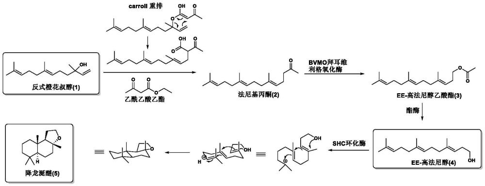 一種降龍涎醚的生物催化合成方法