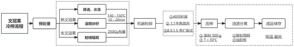 一種文冠果油的提取方法