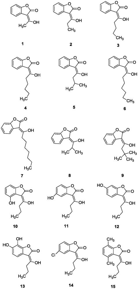 治療缺血性腦神經損傷相關疾病的苯并呋喃酮衍生物及其制備方法與流程