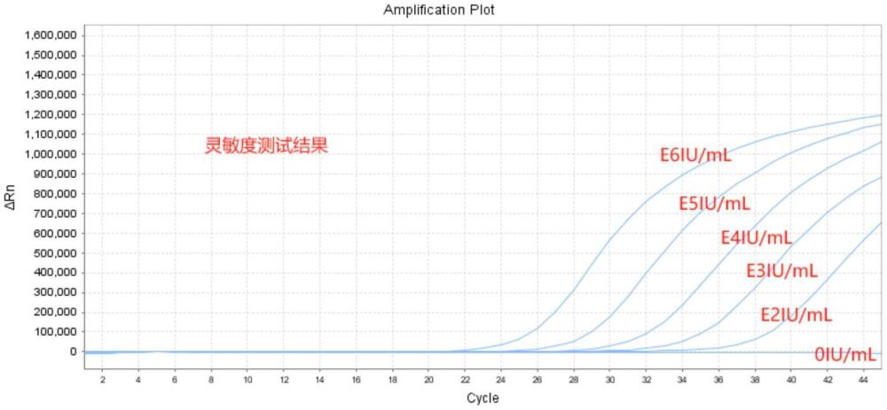 一種快速定量檢測人細小病毒B19的試劑盒、引物探針組合及其應用的制作方法