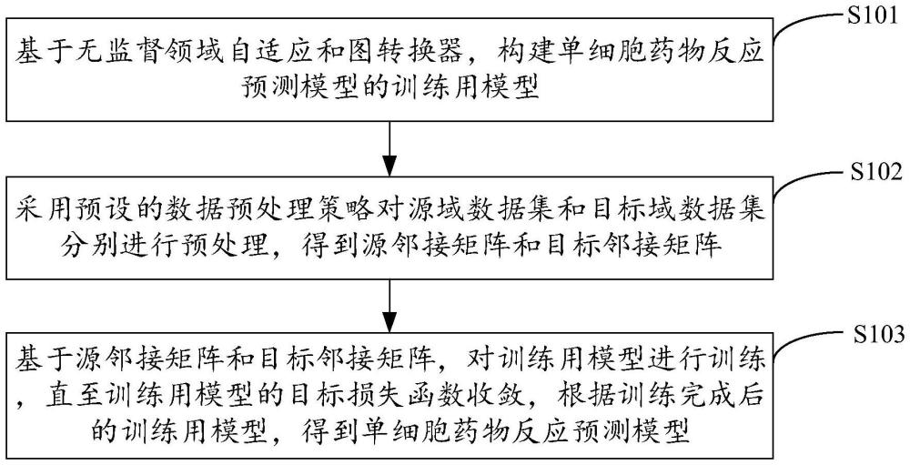 一種單細胞藥物反應(yīng)預(yù)測模型的訓(xùn)練方法及裝置