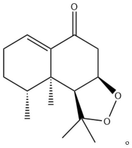 甘松新酮在預防或治療脫發、促進毛發生長的藥物應用