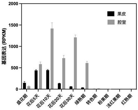 果膠甲酯酶抑制蛋白SlPMEI3的應用和方法