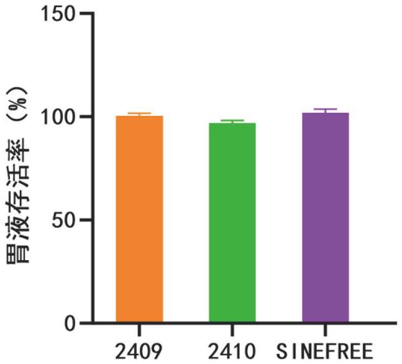一種具有抗炎舒敏功效的副干酪乳桿菌SINEFREE及其應用的制作方法