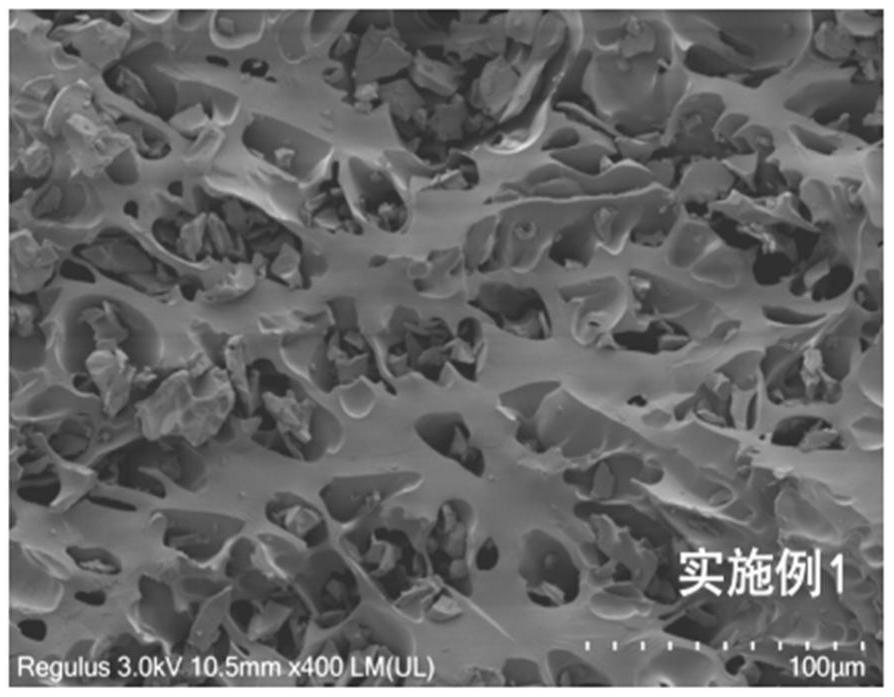 一種新型水溶性淀粉水凝膠及其制備方法與應用