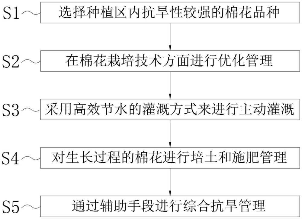 一種棉花抗旱的方法與流程