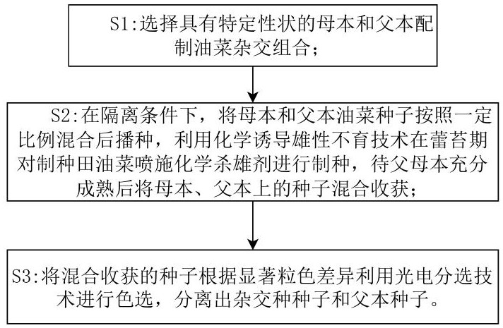 一種雜交油菜混播制種方法及其播種機