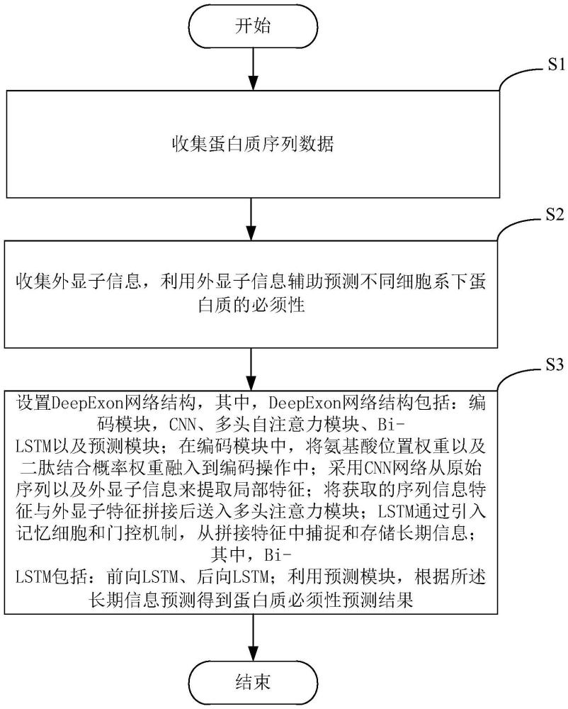 一種對不同細胞系下蛋白質必須性預測方法及系統