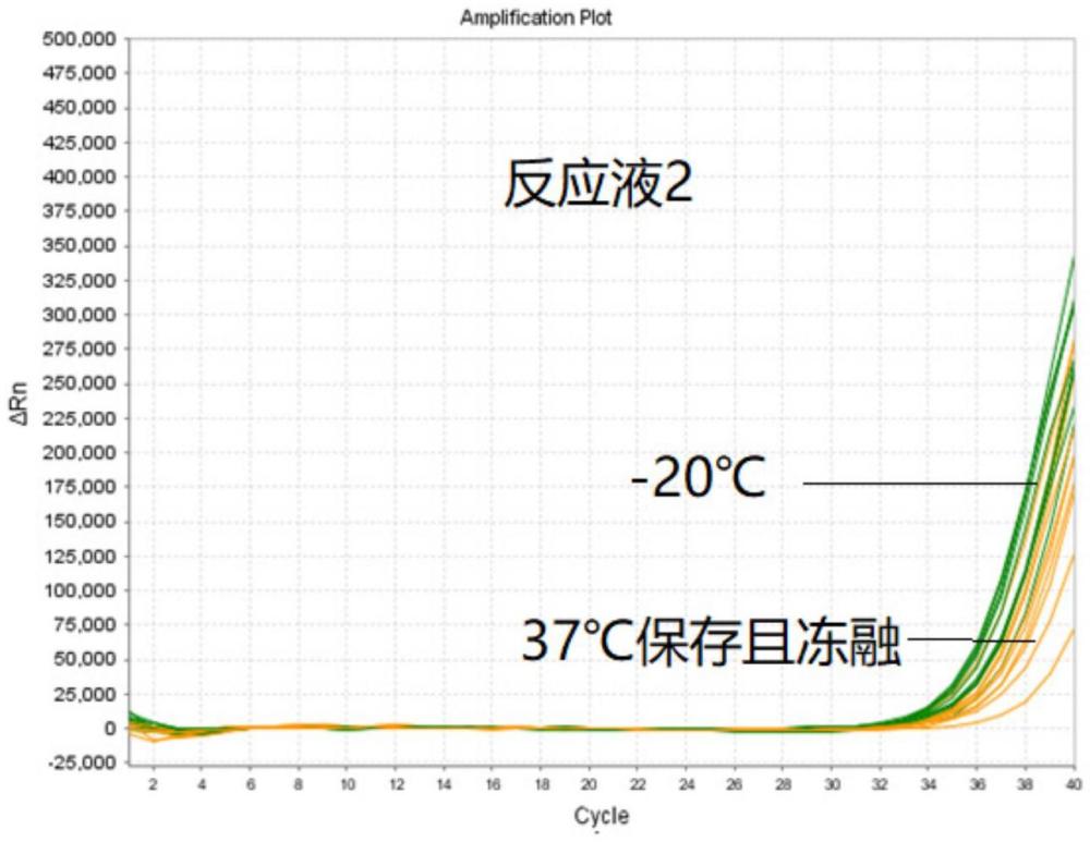 一種全預混式熒光PCR試劑盒及穩定劑的制作方法