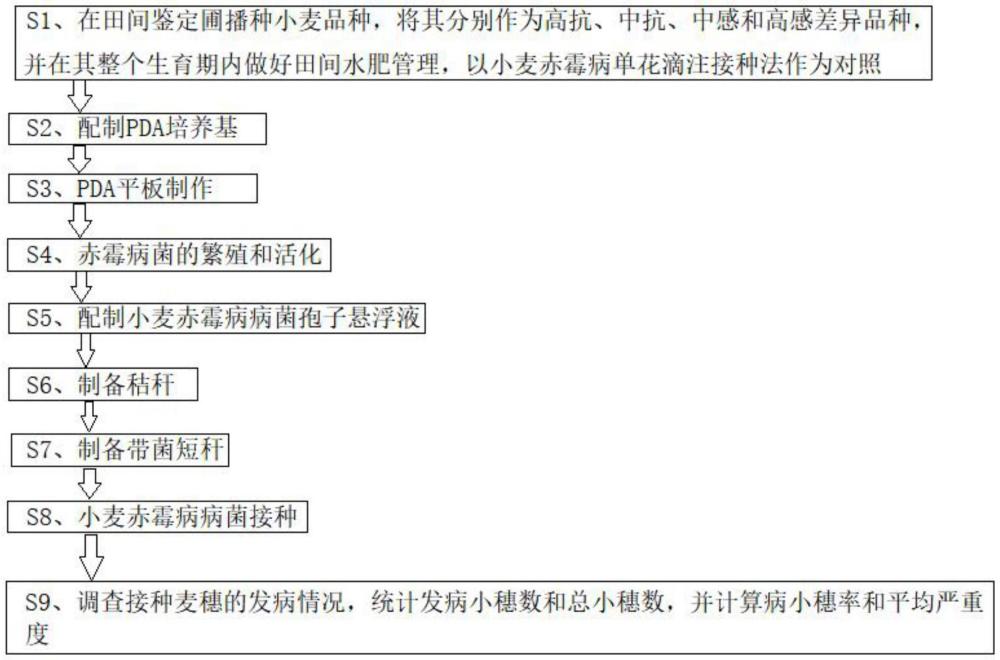 一種小麥赤霉病抗性鑒定方法