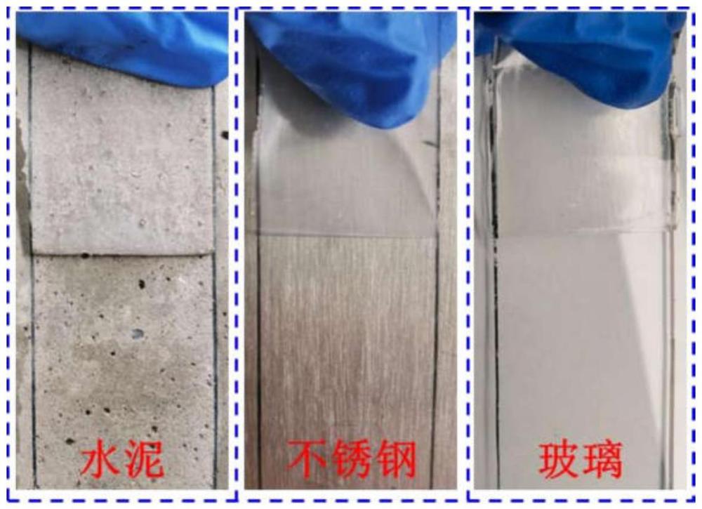 一種透明水性可剝離膜去污材料及其制備方法和應(yīng)用