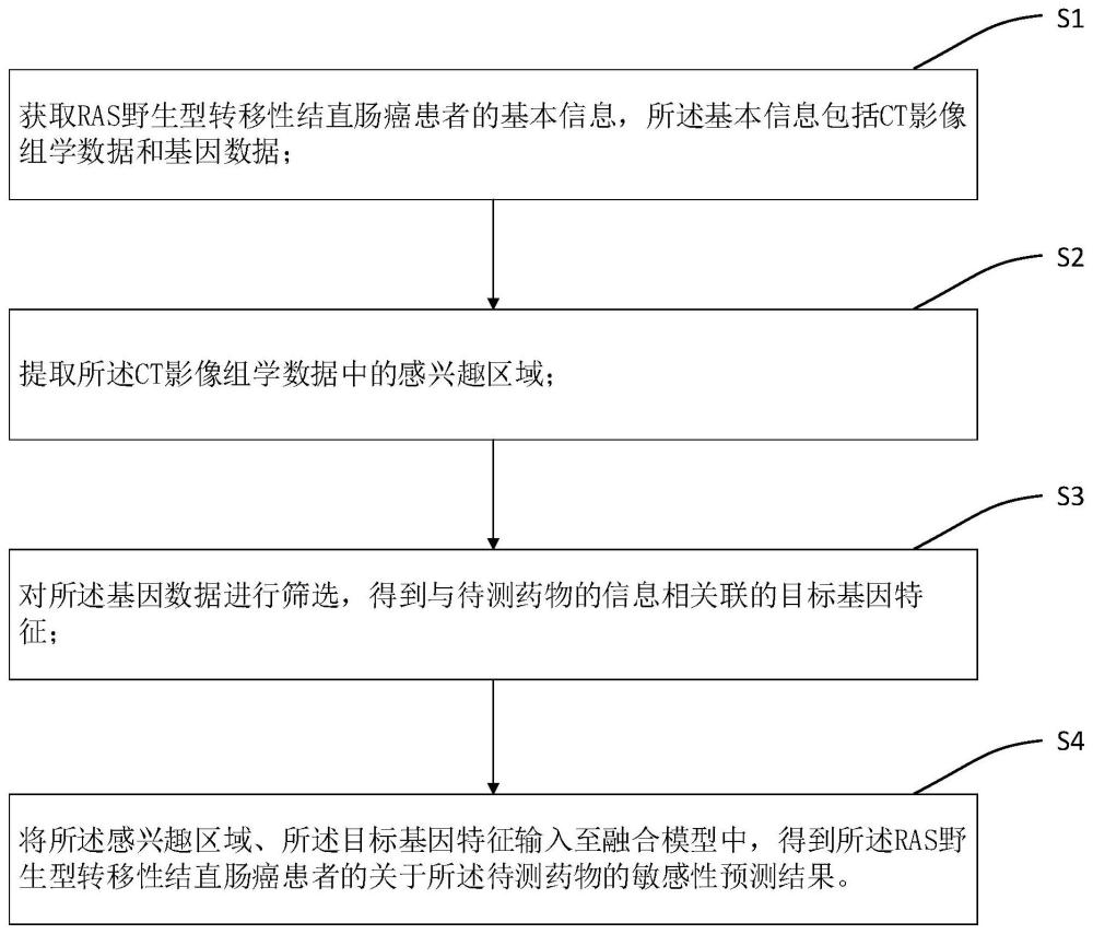 一種RAS野生型轉移性結直腸癌患者的分類方法和系統