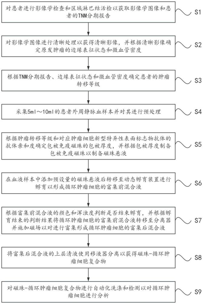 一種循環腫瘤細胞的檢測方法與流程