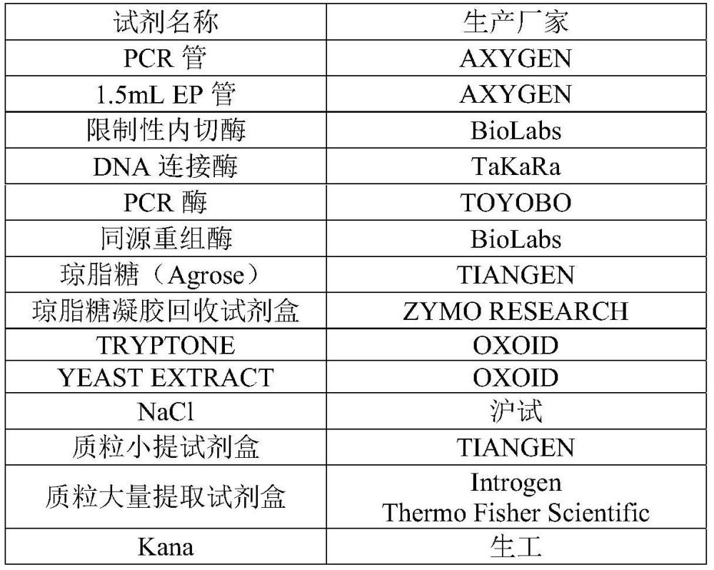 抗間皮素納米抗體嵌合抗原受體及其應(yīng)用的制作方法