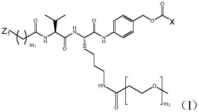 用于制備抗體與藥物偶聯(lián)物的中間體及其制備方法和應(yīng)用與流程
