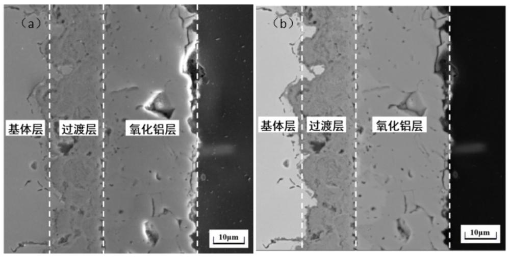 一種含Al2O3涂層的不銹鋼材料及其制備方法