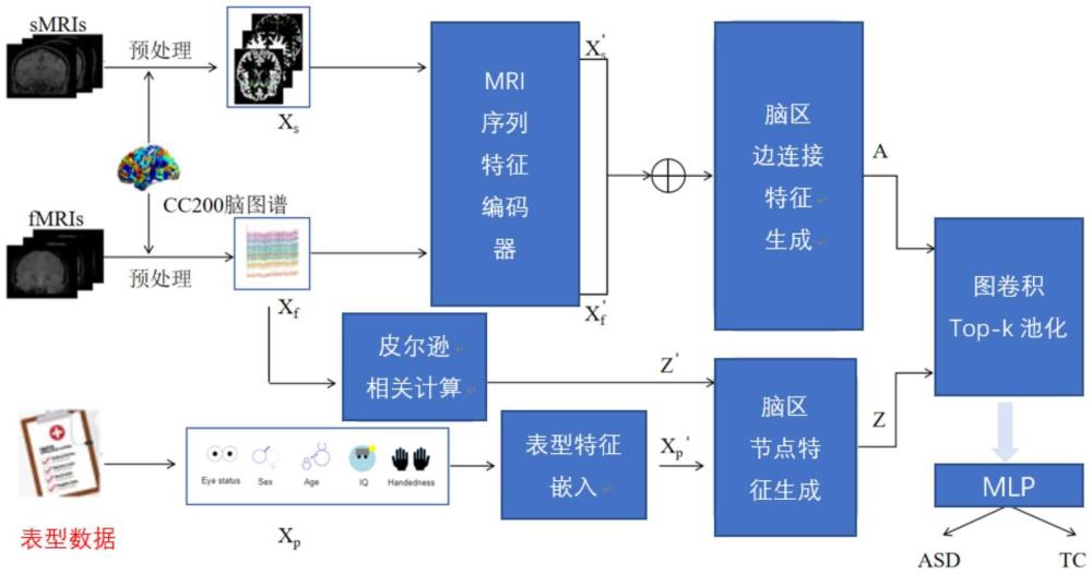 一種多模態腦圖信息融合識別孤獨癥腦圖的方法