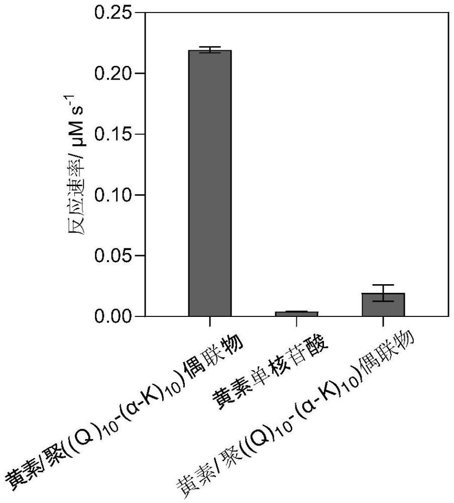 偶聯黃素基團的聚合物在催化煙酰胺腺嘌呤二核苷酸還原態NADH轉化氧化態NAD+上的應用