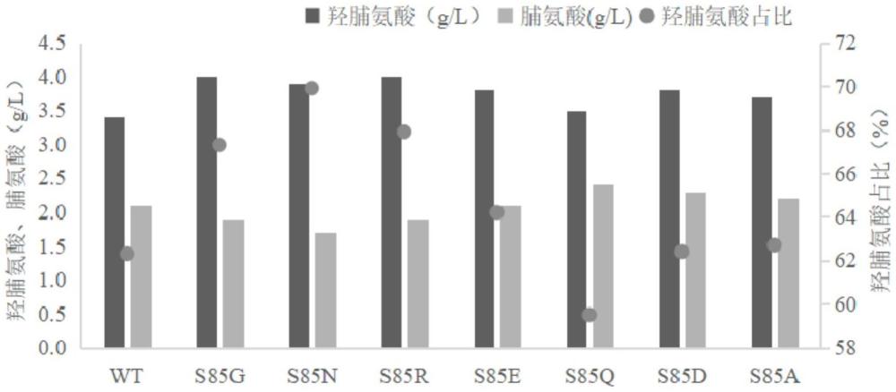脯氨酸羥化酶突變體及其在羥脯氨酸生產(chǎn)中的應(yīng)用和方法與流程