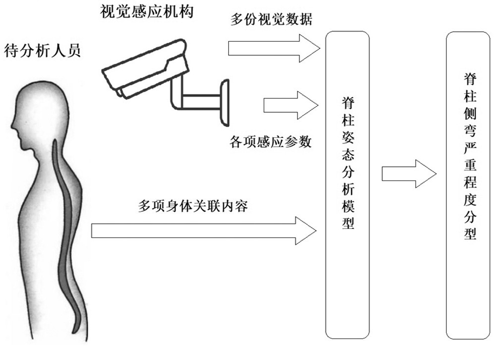 一種基于機器學習的視覺圖像脊柱姿態分析方法及系統