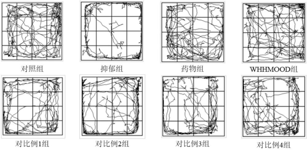一種具有改善抑郁作用的天然產物益生菌制劑及其應用的制作方法