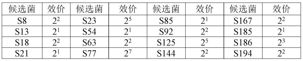預防鼠傷寒沙門氏菌的功能性益生菌高通量反向篩選方法與流程