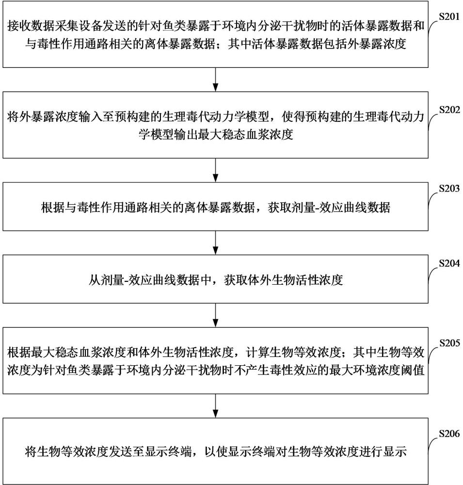 環境內分泌干擾物的生物等效濃度預測方法及裝置與流程
