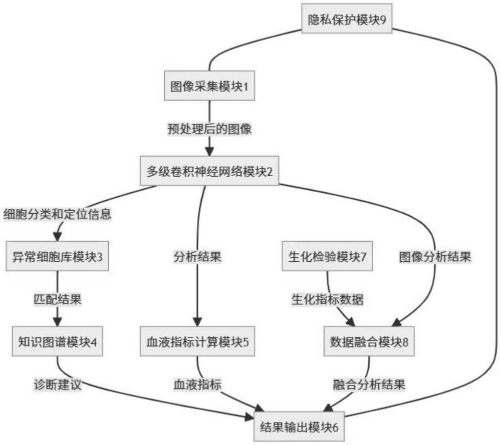 基于深度學習的血液涂片異常細胞智能識別系統及其方法