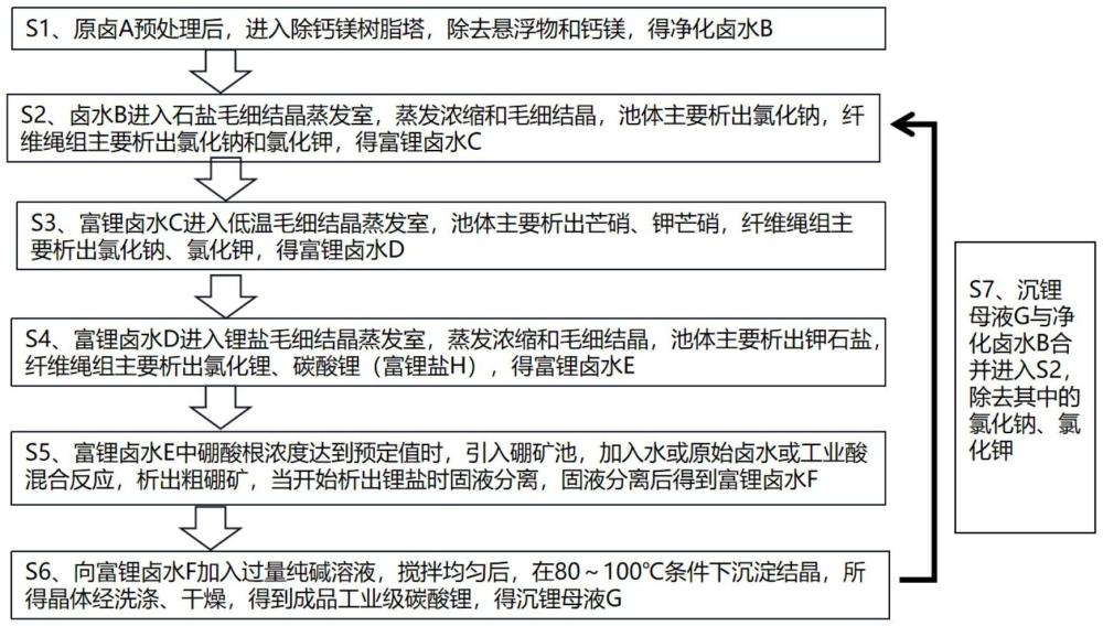 碳酸鹽型鹵水鋰鹽分離系統和分離方法與流程
