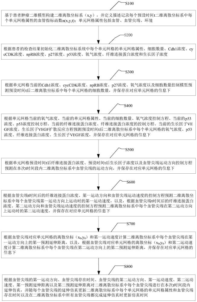 一種腫瘤血管生長過程仿真的方法與流程