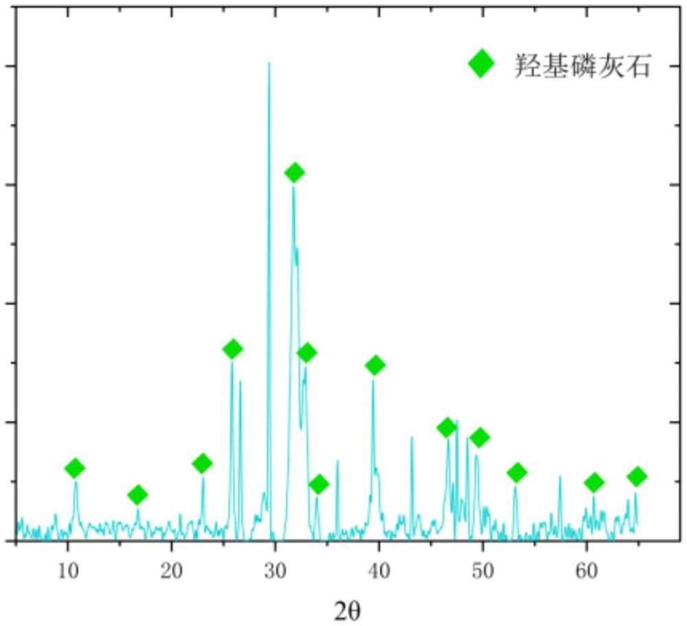 一種微生物誘導(dǎo)羥基磷灰石修復(fù)骨角質(zhì)文物的方法