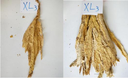 一種烤煙分級體系及其應用的制作方法