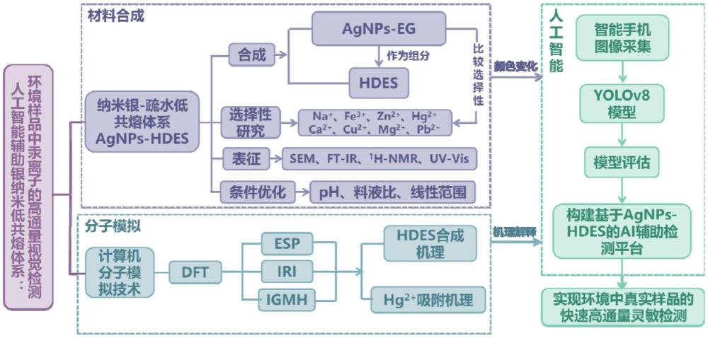 一種提高環境中汞離子檢測靈敏度和效率的平臺和方法