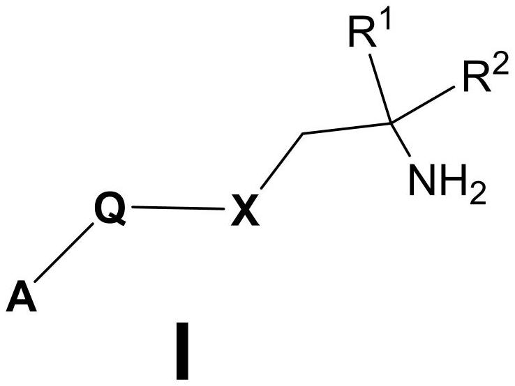 AAK1抑制劑及其應用的制作方法