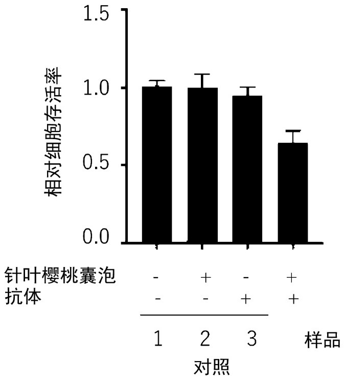 蛋白質用運載體和蛋白質導入方法