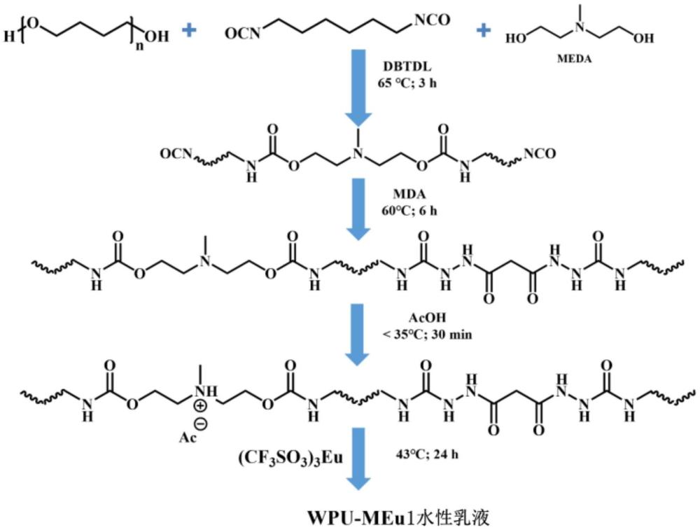 一種室溫高效自修復的水性聚氨酯彈性體及其制備方法和應用