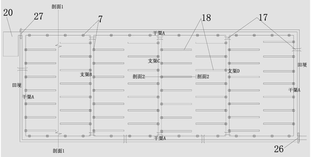 一種魚(yú)稻共生農(nóng)田設(shè)計(jì)的制作方法