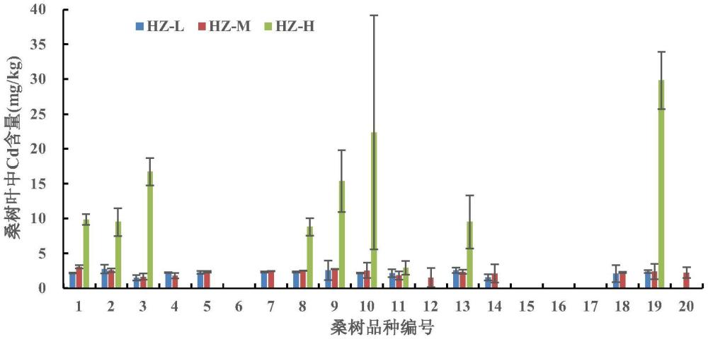 一種鈍化劑及其制備方法與基于桑樹和鈍化劑聯用的鎘污染土壤安全利用方法