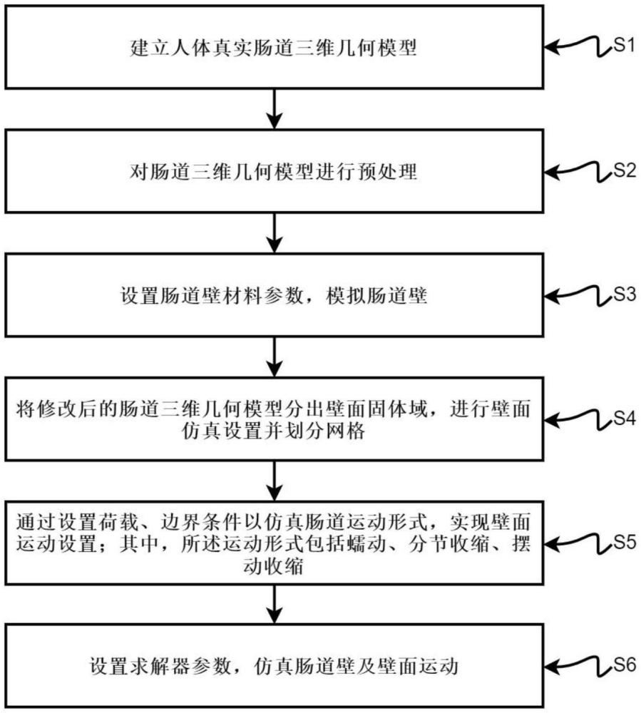 基于Ansys的腸道壁及壁面運動建模方法及裝置