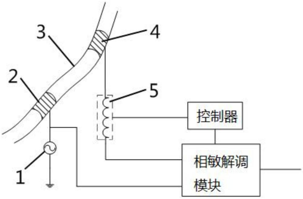 一種非接觸式木本植物木質(zhì)部電導(dǎo)檢測(cè)裝置及方法
