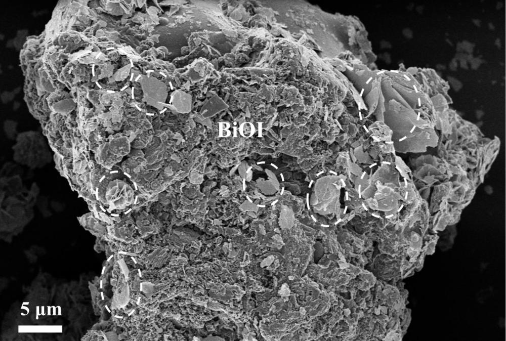 S型BiOI/g-C3N4異質結光催化劑及制備方法與應用