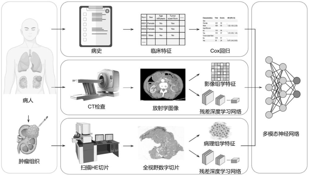 一種基于多模態(tài)中間融合的預(yù)后預(yù)測(cè)方法
