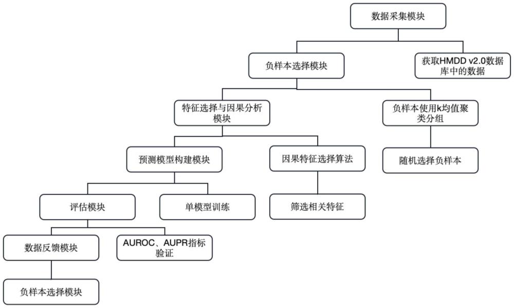 一種基于因果特征選擇的miRNA與疾病關系預測系統及方法