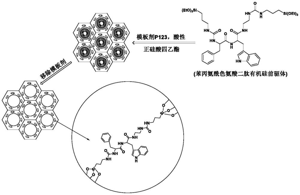 苯丙氨酸-色氨酸二肽骨架介孔硅材料及其制備方法和應用