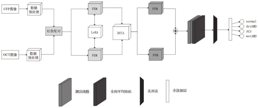 一種黃斑變性分類系統(tǒng)的構(gòu)建方法及黃斑變性分類系統(tǒng)