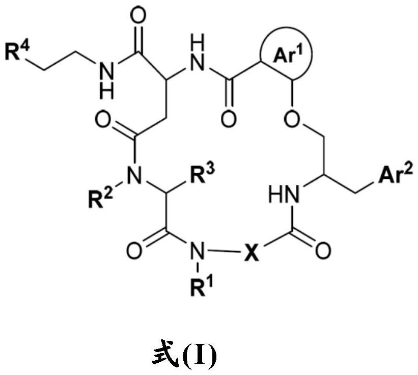 大環(huán)CFTR調(diào)節(jié)劑與CFTR校正劑和/或CFTR增效劑的組合的制作方法