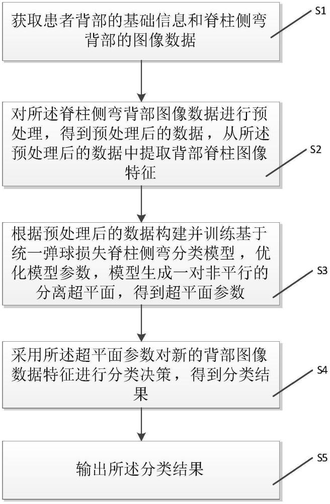 基于統(tǒng)一彈球損失的脊柱側(cè)彎背部圖像數(shù)據(jù)分類(lèi)方法及系統(tǒng)